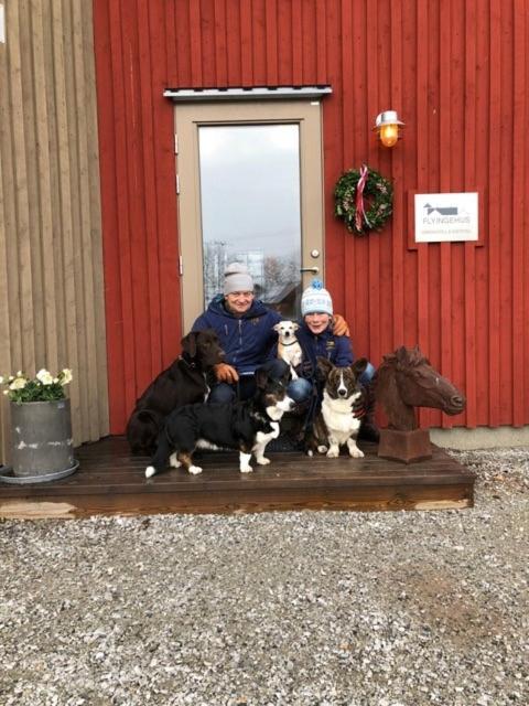 Flyingehus Gårdshotell Eksteriør bilde